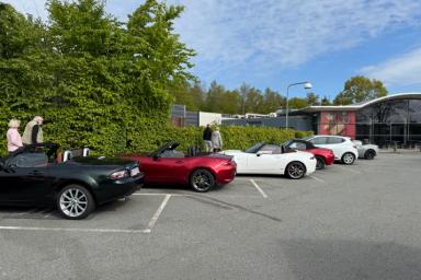 IMG_5434.jpeg IMG_5434.jpeg